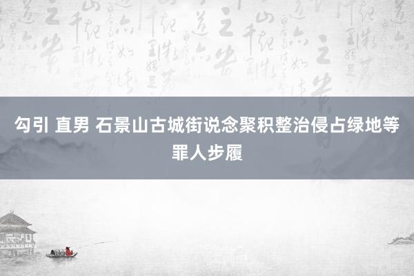 勾引 直男 石景山古城街说念聚积整治侵占绿地等罪人步履