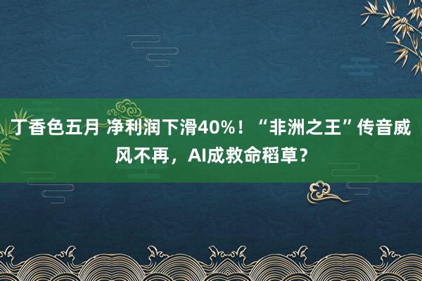 丁香色五月 净利润下滑40%！“非洲之王”传音威风不再，AI成救命稻草？