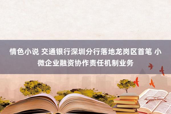 情色小说 交通银行深圳分行落地龙岗区首笔 小微企业融资协作责任机制业务