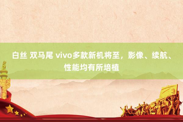 白丝 双马尾 vivo多款新机将至，影像、续航、性能均有所培植