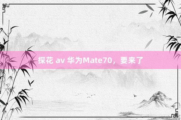 探花 av 华为Mate70，要来了