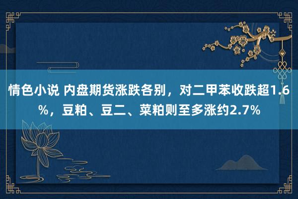 情色小说 内盘期货涨跌各别，对二甲苯收跌超1.6%，豆粕、豆二、菜粕则至多涨约2.7%