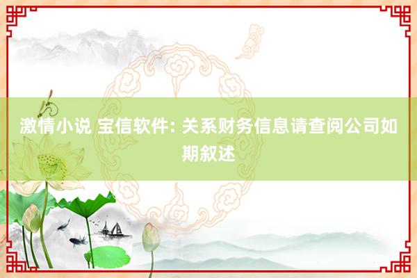 激情小说 宝信软件: 关系财务信息请查阅公司如期叙述