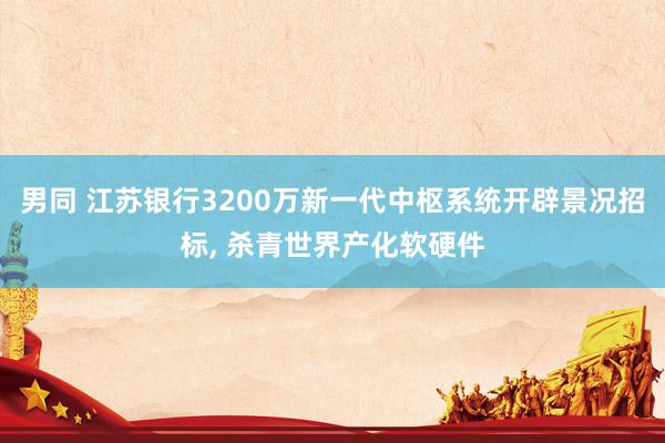 男同 江苏银行3200万新一代中枢系统开辟景况招标， 杀青世界产化软硬件