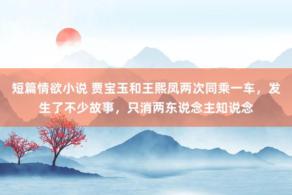 短篇情欲小说 贾宝玉和王熙凤两次同乘一车，发生了不少故事，只消两东说念主知说念