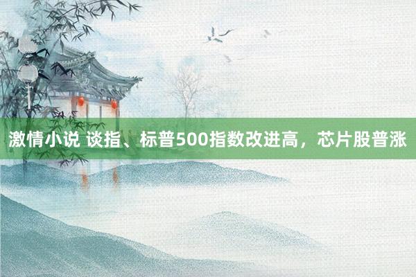 激情小说 谈指、标普500指数改进高，芯片股普涨