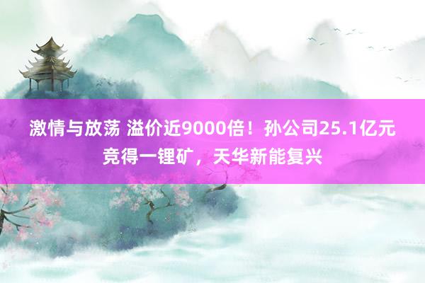 激情与放荡 溢价近9000倍！孙公司25.1亿元竞得一锂矿，天华新能复兴