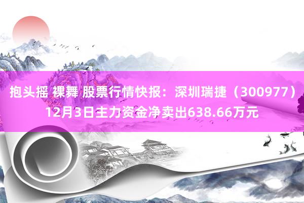 抱头摇 裸舞 股票行情快报：深圳瑞捷（300977）12月3日主力资金净卖出638.66万元