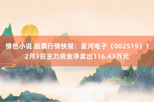 情色小说 股票行情快报：星河电子（002519）12月3日主力资金净卖出116.43万元