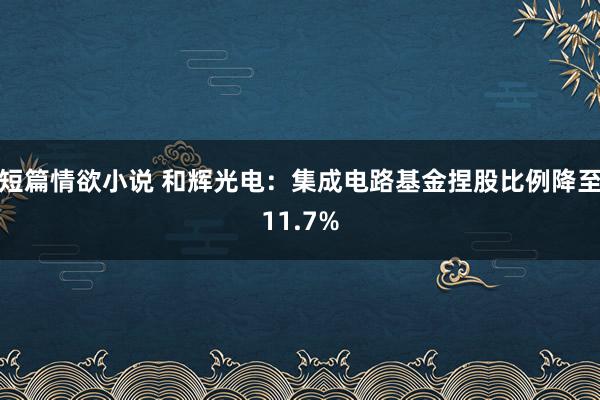 短篇情欲小说 和辉光电：集成电路基金捏股比例降至11.7%