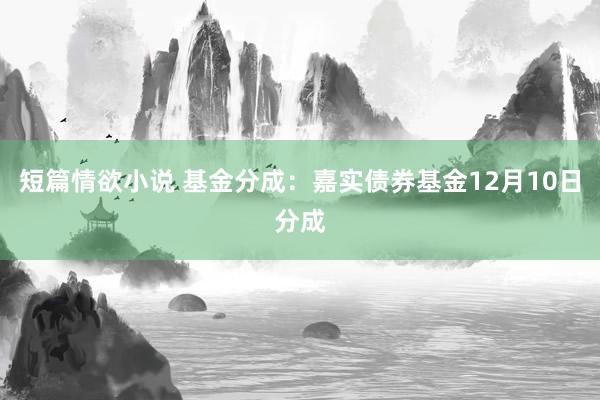 短篇情欲小说 基金分成：嘉实债券基金12月10日分成