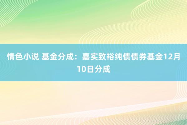 情色小说 基金分成：嘉实致裕纯债债券基金12月10日分成