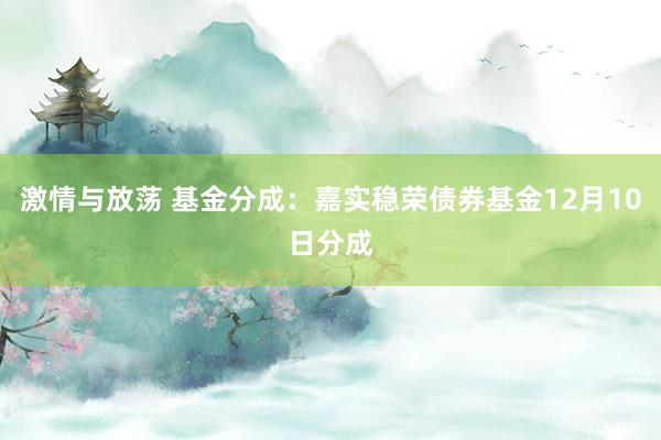 激情与放荡 基金分成：嘉实稳荣债券基金12月10日分成