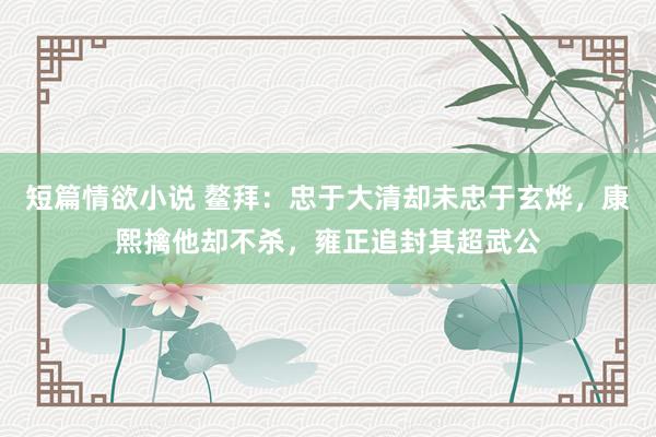 短篇情欲小说 鳌拜：忠于大清却未忠于玄烨，康熙擒他却不杀，雍正追封其超武公