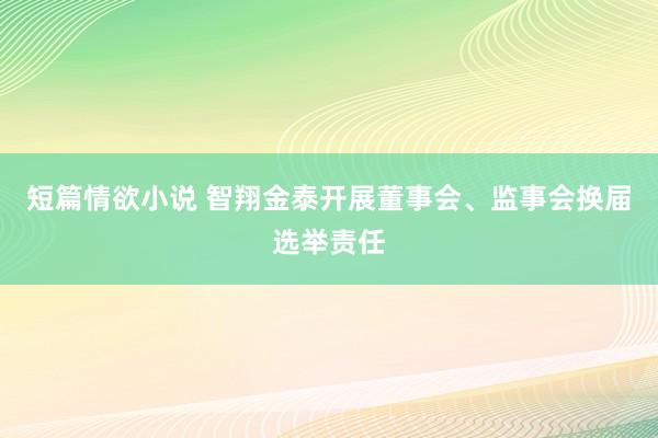 短篇情欲小说 智翔金泰开展董事会、监事会换届选举责任