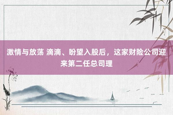 激情与放荡 滴滴、盼望入股后，这家财险公司迎来第二任总司理