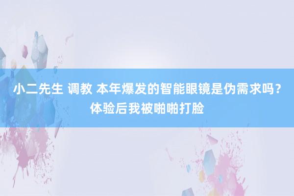 小二先生 调教 本年爆发的智能眼镜是伪需求吗？体验后我被啪啪打脸