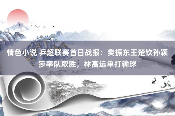 情色小说 乒超联赛首日战报：樊振东王楚钦孙颖莎率队取胜，林高远单打输球