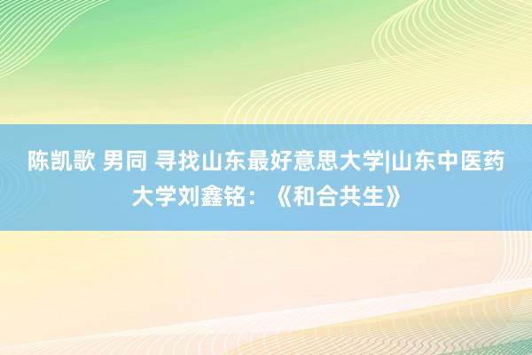 陈凯歌 男同 寻找山东最好意思大学|山东中医药大学刘鑫铭：《和合共生》