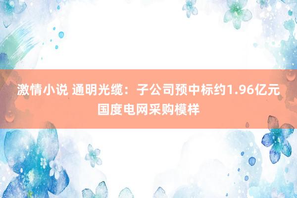 激情小说 通明光缆：子公司预中标约1.96亿元国度电网采购模样