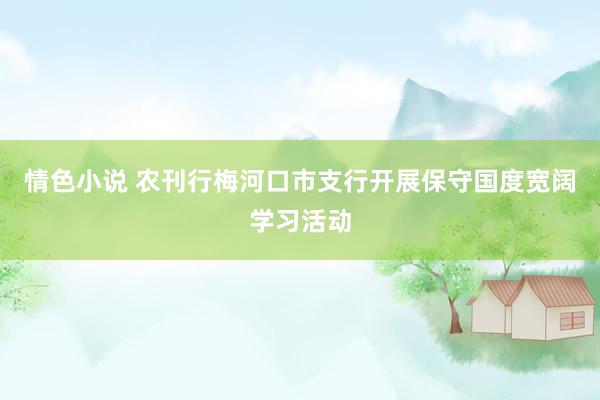 情色小说 农刊行梅河口市支行开展保守国度宽阔学习活动