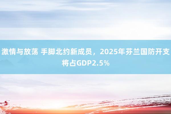 激情与放荡 手脚北约新成员，2025年芬兰国防开支将占GDP2.5%