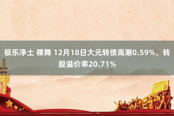 极乐净土 裸舞 12月18日大元转债高潮0.59%，转股溢价率20.71%