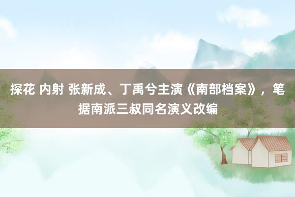 探花 内射 张新成、丁禹兮主演《南部档案》，笔据南派三叔同名演义改编