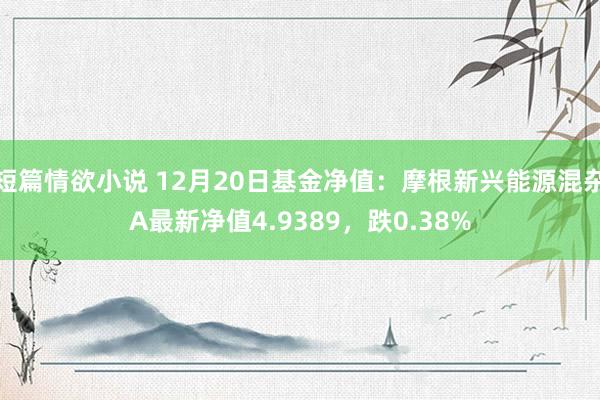 短篇情欲小说 12月20日基金净值：摩根新兴能源混杂A最新净值4.9389，跌0.38%