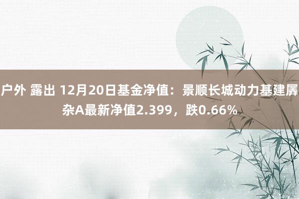 户外 露出 12月20日基金净值：景顺长城动力基建羼杂A最新净值2.399，跌0.66%