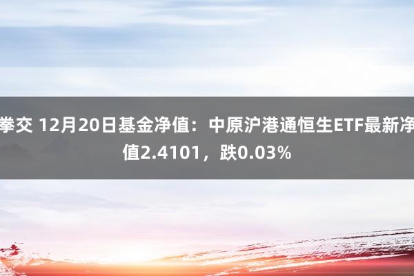 拳交 12月20日基金净值：中原沪港通恒生ETF最新净值2.4101，跌0.03%