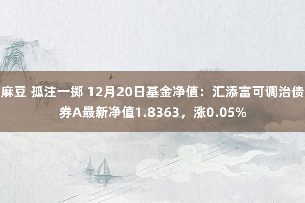 麻豆 孤注一掷 12月20日基金净值：汇添富可调治债券A最新净值1.8363，涨0.05%