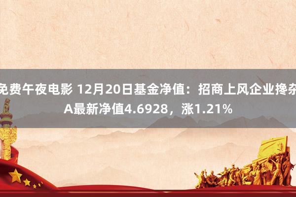 免费午夜电影 12月20日基金净值：招商上风企业搀杂A最新净值4.6928，涨1.21%