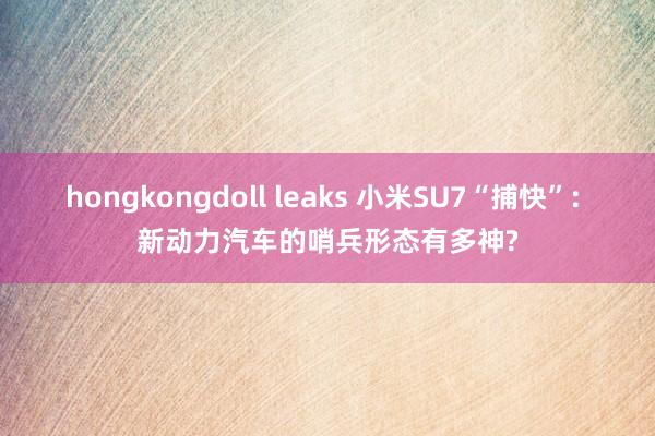 hongkongdoll leaks 小米SU7“捕快”: 新动力汽车的哨兵形态有多神?