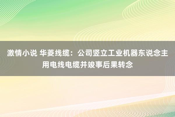 激情小说 华菱线缆：公司竖立工业机器东说念主用电线电缆并竣事后果转念