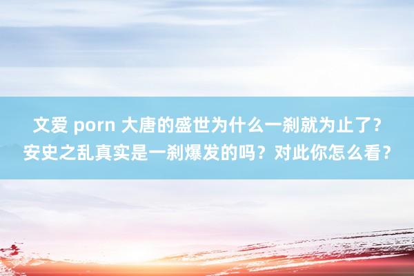 文爱 porn 大唐的盛世为什么一刹就为止了？安史之乱真实是一刹爆发的吗？对此你怎么看？