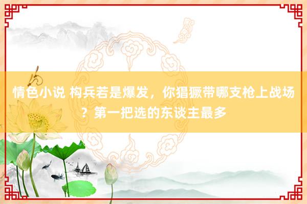 情色小说 构兵若是爆发，你猖獗带哪支枪上战场？第一把选的东谈主最多