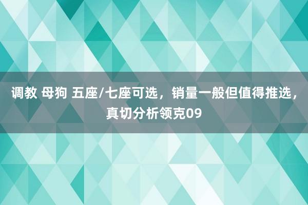 调教 母狗 五座/七座可选，销量一般但值得推选，真切分析领克09