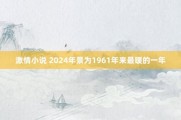 激情小说 2024年景为1961年来最暖的一年