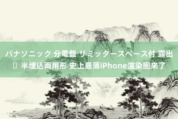 パナソニック 分電盤 リミッタースペース付 露出・半埋込両用形 史上最薄iPhone渲染图来了