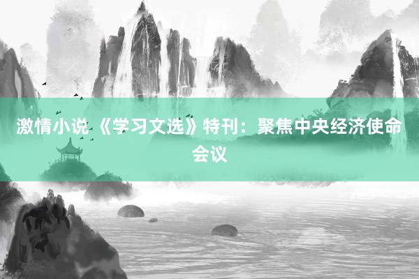 激情小说 《学习文选》特刊：聚焦中央经济使命会议