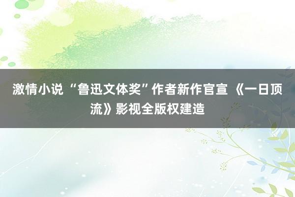 激情小说 “鲁迅文体奖”作者新作官宣 《一日顶流》影视全版权建造