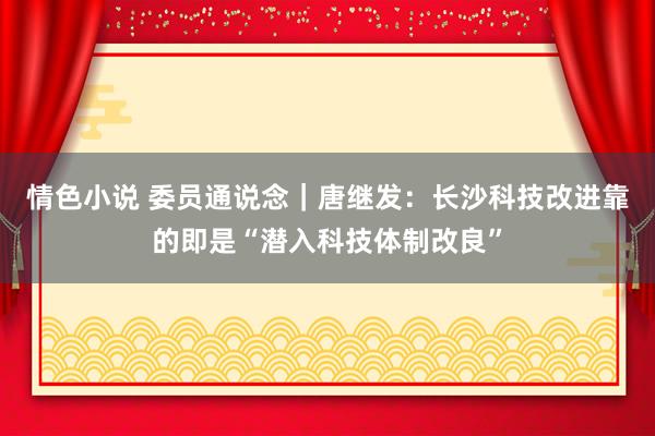 情色小说 委员通说念｜唐继发：长沙科技改进靠的即是“潜入科技体制改良”