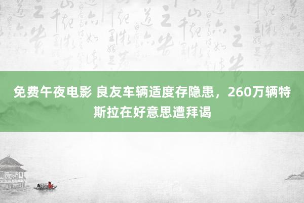 免费午夜电影 良友车辆适度存隐患，260万辆特斯拉在好意思遭拜谒