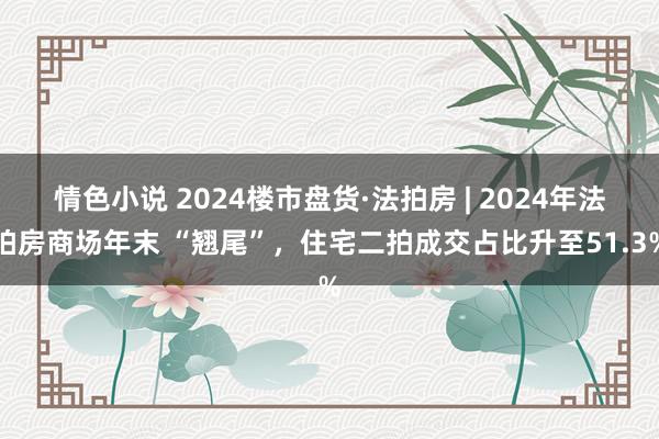 情色小说 2024楼市盘货·法拍房 | 2024年法拍房商场年末 “翘尾”，住宅二拍成交占比升至51.3%